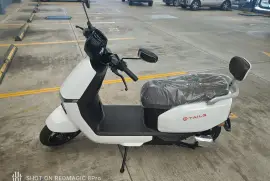 - Otras Marcas -, E- Scooter TAilg / Modelo F11A05, 2025