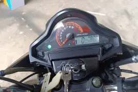 Freedom, EVO RIDER, 2021