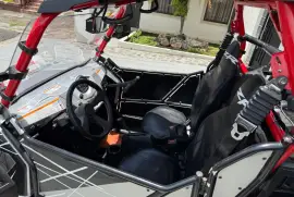 Polaris, Rzr, 2012