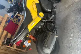 Honda, Navi , 2019