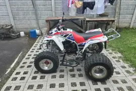 Yamaha, Blaster, 2008
