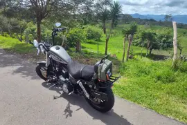Harley-Davidson, Sportster 883, 2006