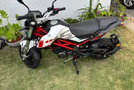 Benelli, TNT , 2024