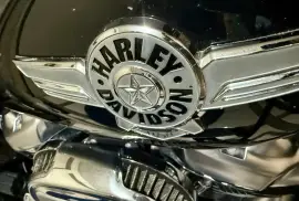 Harley-Davidson, FAT BOY 114, 2020