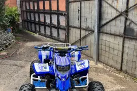 Yamaha, Blaster , 2002