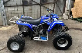 Yamaha, Blaster , 2002