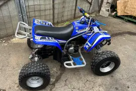 Yamaha, Blaster , 2002