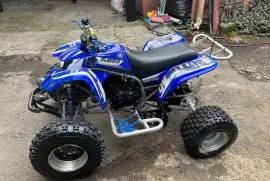 Yamaha, Blaster , 2002