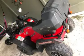 Honda, Fourtrax, 2019
