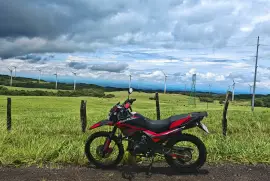 Vento, CrossMax, 2024