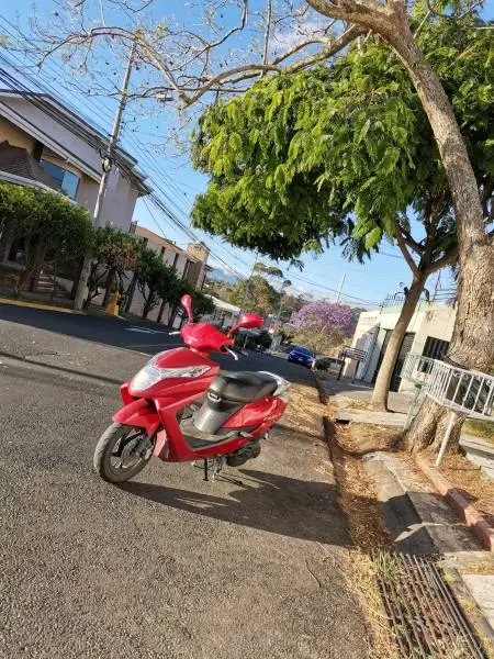 Honda, Elite, 2017