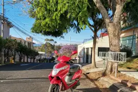 Honda, Elite, 2017