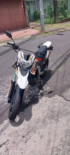 Serpento, Yara 2023, 2023