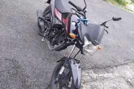 Suzuki, Hayate, 2018