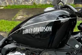 Harley-Davidson, Nisters, 2011