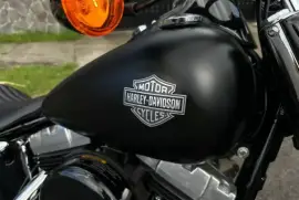 Harley-Davidson, Slim , 2013