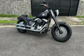 Harley-Davidson, Slim , 2013