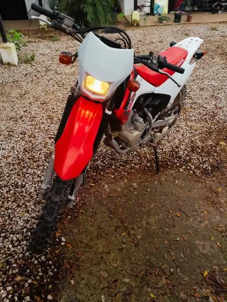 Honda, CRF, 2019