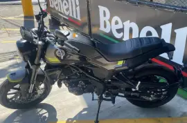 Benelli, Lioncino , 2022