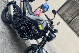 Benelli, Lioncino , 2022