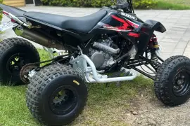 Suzuki, QuadRacer, 2009