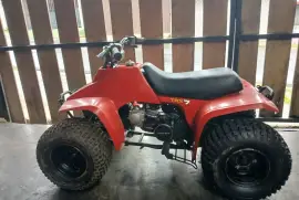 Honda, TRX, 1990