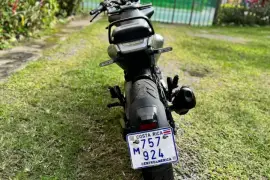 Husqvarna, Svartpilen 401, 2020