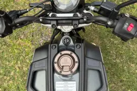 Husqvarna, Svartpilen 401, 2020