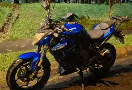 Kawasaki, Z250, 2018