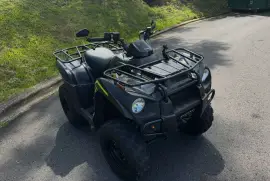 Kawasaki, Bruteforce 300, 2022