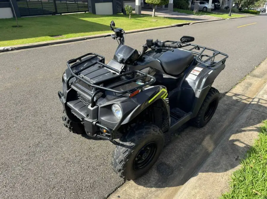 Kawasaki, Bruteforce 300, 2022