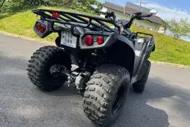Kawasaki, Bruteforce 300, 2022