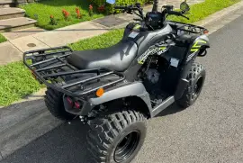 Kawasaki, Bruteforce 300, 2022