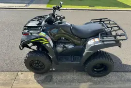 Kawasaki, Bruteforce 300, 2022