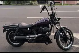 Harley-Davidson, Sporters, 2001