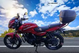 Bajaj, pulsar, 2019