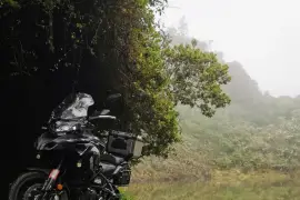 Benelli, TRK 502, 2021