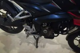 Bajaj, NS , 2016