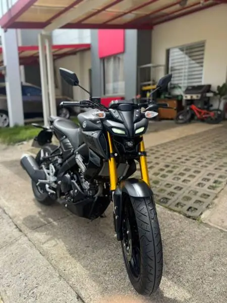 Yamaha, MT-15, 2025