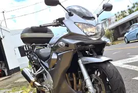 Suzuki, Bandit GSF 1250, 2008 Suzuki, Bandit GSF 1250, 2008