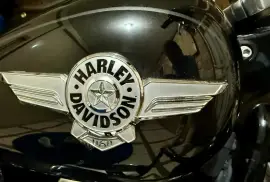 Harley-Davidson, FAT BOY 114, 2020 Harley-Davidson, FAT BOY 114, 2020