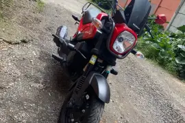 Honda, Navi, 2025 Honda, Navi, 2025