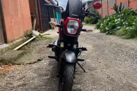 Honda, Navi, 2025 Honda, Navi, 2025