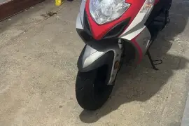 Freedom, Firehawk, 2025 Freedom, Firehawk, 2025