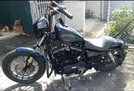 Harley-Davidson, Sporster Iron, 2013 Harley-Davidson, Sporster Iron, 2013