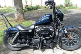 Harley-Davidson, Sporster Iron, 2013