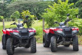 Honda, 2016 a 2018 Honda TRX 420 FA2 , 2016