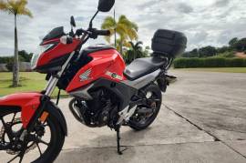 Honda, Hornet, 2019