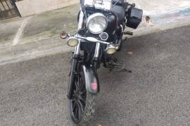 Serpento, coyote, 2016 Serpento, coyote, 2016