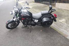 Serpento, coyote, 2016 Serpento, coyote, 2016